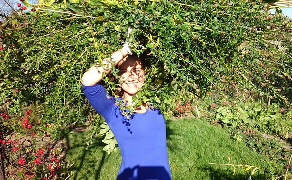 Kräuterseminar "Welt mit Stiel", Kräuterwanderung