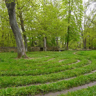 Wald - Naturdenkerin Katrin Huß - Waldreisen